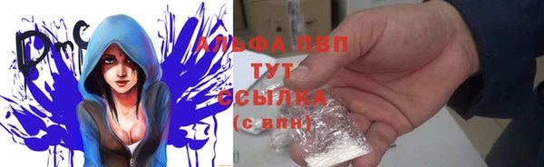 СК Инта