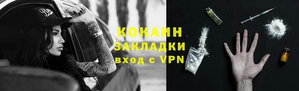 мяу мяу мука Аркадак