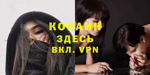 мяу мяу мука Аркадак