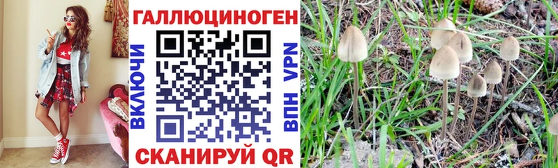 сайты даркнета какой сайт  закладка  Чайковский  Псилоцибиновые грибы мицелий 