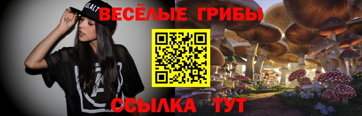 Псилоцибиновые грибы мухоморы  Псилоцибиновые грибы Psilocybe  Чайковский  Вход с VPN 
